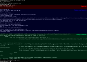 Http request telnet ubuntu