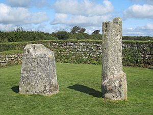 King Doniert's Stone - geograph.org.uk - 955412