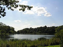 Kissena Park pond