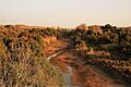 Landsacpe dry stream park w niger 2006