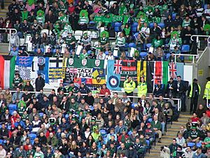 London Irish fans at the Madejski stadium