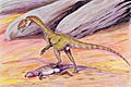 Megapnosaurus DB