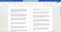 Microsoft Word