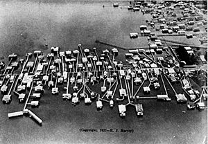 Milneburg From the Air 1921 H J Harvey