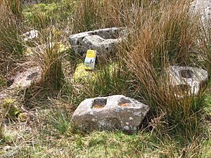 Mortarstones and mouldstone on Dartmoor