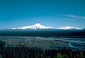 MountSanford