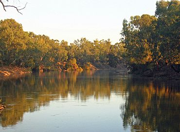 Murrumbidgee River in Wagga Wagga.jpg
