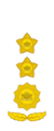 Myanmar officer rank insignia 5.png