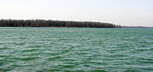 Navy Island, Ontario, from Buckhorn Island State Park, Erie County, New York