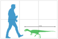 Noasaurus size chart