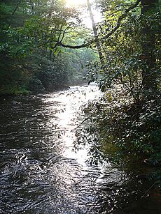 North Carolina River