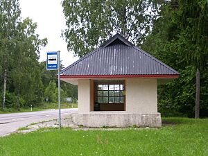 Palade bussipeatus