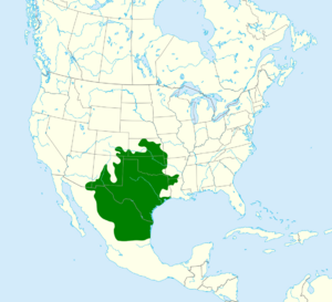 Phrynosoma cornutum map.svg
