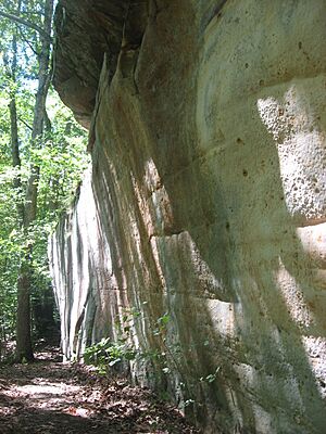 Piney Creek Site overview
