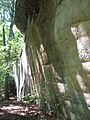 Piney Creek Site overview