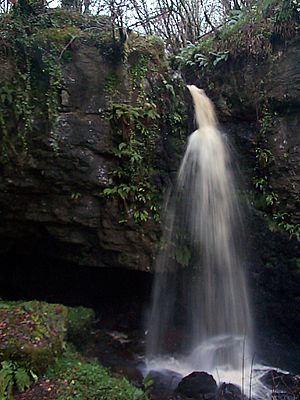Pollnagollum Coolarkan waterfall