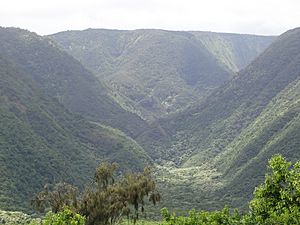 Pololū Valley, Hawaii
