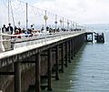 Princess Pier, Torquay - geograph.org.uk - 830062
