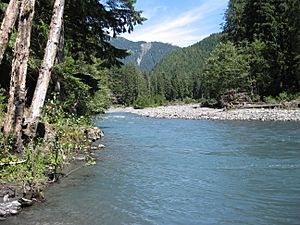 Queets river