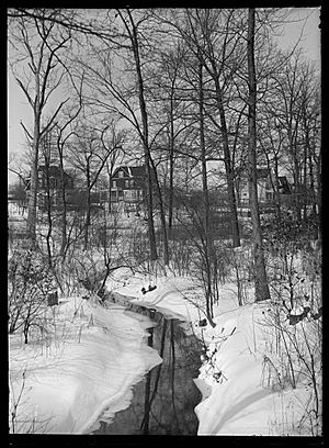 Rattlesnake Brook in winter, Bronx, New York City, February 5, 1914