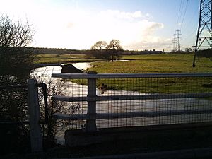 River Eye swollen by recent heavy rainfall - geograph.org.uk - 285300.jpg