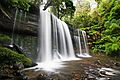 Russell Falls 2