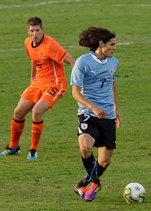 Schaars Cavani (cropped)