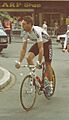 Sean Kelly, PDM