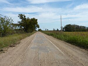 Sidewalk Highway (3)