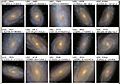 Similar stellar distribution in spiral galaxies