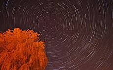 Star Trail above Beccles - geograph.org.uk - 1855505