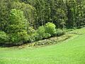 Sycharth, Llansilin 06