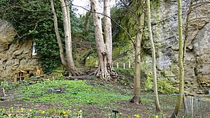 The Chapel of Our Lady of the Crag & Garden, Knaresborough, Yorkshire