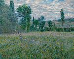 The Meadow