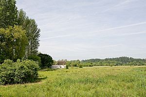 The Old Cottage on Chilbolton Common - geograph.org.uk - 822221.jpg