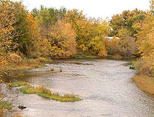 The Weiser River outside Weiser, Idaho.jpg
