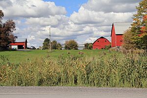 ThistleHaFarm,ON-1