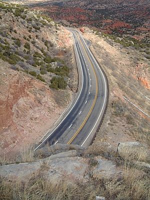 Tx Hwy 207