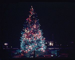 US National Christmas Tree in Lafayette Square - circa 1936 to 1938