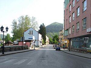 Visoko, Alija Izetebegović street