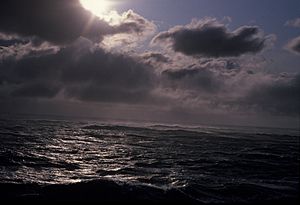 Wea04114 - Flickr - NOAA Photo Library