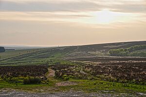 West Somerset - Exmoor - Almsworthy Common (geograph 3988564)