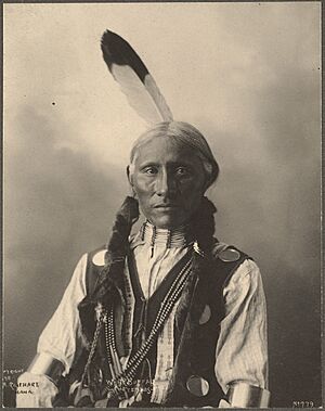 WhiteBuffalo