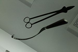 William Smellie's surgical instruments, Hunterian Museum, Glasgow