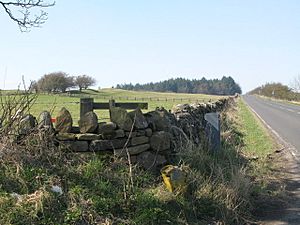 (The site of) Turret 22b - geograph.org.uk - 1234730