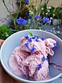 005 Cornflower petals - edible flower on ice cream