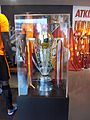 2014–15 Süper Lig Cup