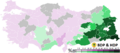 2014 Turkish local elections BDP & HDP