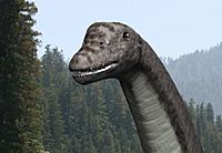 Abydosaurus NT