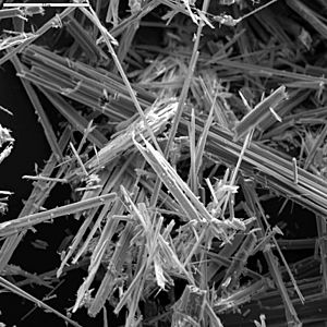 Anthophyllite asbestos SEM